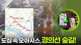 도심 속 오아시스, 경의선 숲길! “ 먹거리와 즐길 거리가 가득! ” | KBS 251118 방송