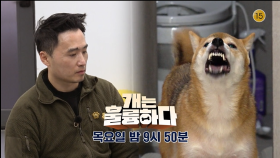 [예고] 개는 훌륭하다 8회 예고 | KBS 방송