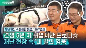 [안전톡톡⛑️] ☆멋짐 뿜뿜☆ 재난 현장 속 든든한 ′네 발의 동료′ 119구조견 ′누리′🐕 생방중 댕꿀잠 잔 사연은?! | KBS Life 251119방송