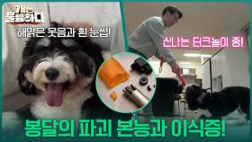 온 집안이 풍비박산?!😮 봉달의 파괴 본능과 이식증! | KBS 251120 방송