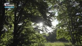 숲과 호수에서 평화로운 휴식을 취하기에 적합한 눅시오 국립공원 | KBS 251120 방송