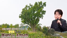 팔팔하게✨ #황민호 와 함께하는 대전광역시 세종특별자치시 장군면 하봉리 은행나무 / KBS 대전 | KBS방송