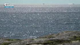 핀란드 헬싱키의 무인도에서 느끼는 자연의 아름다움! | KBS 251120 방송