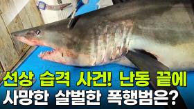 선상 습격 사건! 난동 끝에 사망한 살벌한 폭행범은? [리얼 카메라 진실의 눈] | KBS 251121 방송