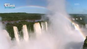 설명 없는 하강의 연속, 자연의 경의를 느낄 수 있는 이구아수 폭포 | KBS 251121 방송