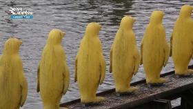 마리오네트 인형극에 담긴 슬픈 역사 | KBS 251122 방송