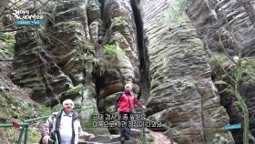 체스키 라이 가는 길, 끝없이 펼쳐진 숲길 | KBS 251122 방송