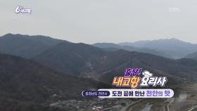 [출장! 내고향 요리사] 도전 끝에 만난 천안의 맛 | KBS 251124 방송