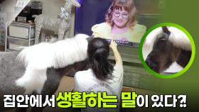 집안에서 생활하는 말이 있다?! | KBS 251124 방송