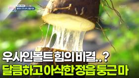 [미식 투어] 달큼하고 아삭아삭한 정읍 둥근 마! | KBS 251126 방송