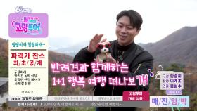 [고향투어] 반려견과 함께 하는 1+1 행복 여행 - 경기 양평 | KBS 251126 방송