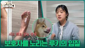 누나 보호자를 노리는 루키의 입질! ＂멈추지 않는 위협＂ | KBS 251127 방송