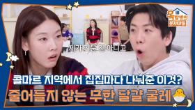 콜마르 지역에서 집집마다 나눠준 이것? 줄어들지 않는 무한 달걀 굴레🐣 | KBS 251127 방송