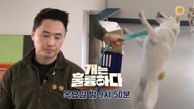 [예고] 개는 훌륭하다 9회 예고 | KBS 방송
