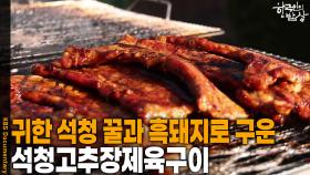 귀한 석청 꿀과 흑돼지로 구운 석청고추장제육구이 | KBS 251127 방송