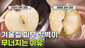 [굿모닝! 건강 브런치] 겨울철, 피부 상태가 급변하는 이유? | KBS 251127 방송