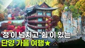 장PD의 AI여행기: AI추천! 촌(村)스러운 단양 여행! | KBS 251127 방송