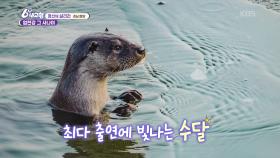 ［청산에 살리라］엄천강 그 사나이 - 경남 함양 | KBS 251127 방송