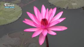 광활한 크기의 농한 쿰파와피 호수 | KBS 251126 방송