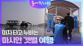 마차 타고 누비는 ‘마시안 갯벌 여행’ | KBS 251129 방송