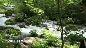 자연을 보며 지친 몸과 마음의 위로가 되는 도와다하치만타이 국립공원 | KBS 251128 방송