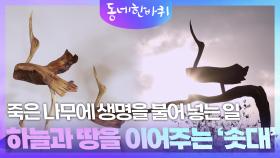 솟대로 바뀐 인생! 공항 직원에서 목공예가로 | KBS 251129 방송