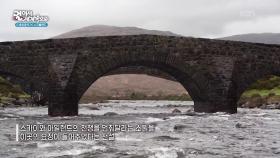 천사의 날개를 닮은 스카이섬 | KBS 251129 방송