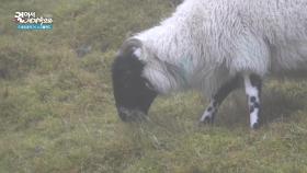 15분마다 날씨가 바뀌는 곳, 갑자기 비가 내린다 | KBS 251129 방송