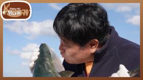 방어 양식장을 하게 된 이유는?! 강구항 시장에서 시작하는 하루☀️ | KBS 251130 방송