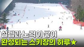 新VJ특공대: 겨울 시즌 시작!스키장 24시 | KBS 251201 방송