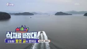 [식재료 원정대] 오동통! 통영 굴이 왔어요! | KBS 251201 방송