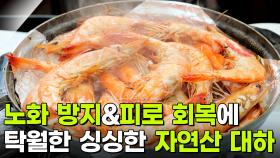 음식 X-파일: 장수의 상징, 대하 | KBS 251203 방송