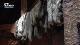 바이킹 시대의 삶을 느낄 수 있는 바이킹 박물관 | KBS 251202 방송