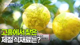 [미식투어] 고흥에서 찾은 제철 식재료는? | KBS 251203 방송