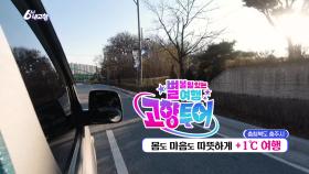 [고향투어] 몸도 마음도 따뜻하게 +1ºC 여행 | KBS 251203 방송