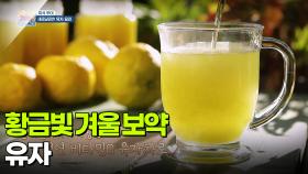 [미식투어] 황금빛 겨울 보약, 유자 | KBS 251203 방송