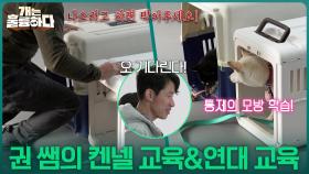 마법 같은 통제 방법, 켄넬 교육과 모방 심리를 이용한 연대 교육! | KBS 251204 방송