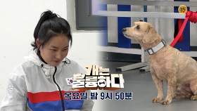 [예고] 개는 훌륭하다 10회 예고 | KBS 방송