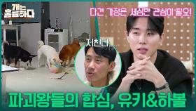 “ 파괴왕들의 합심💥 ” 진범 유키&모방범 하볼의 환장의 콤비! | KBS 251204 방송