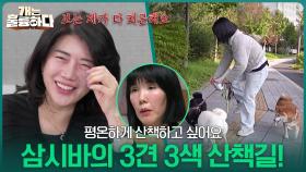 “ 산책으로 몸에 무리가 올 정도?! ” 삼시바의 3견 3색 산책길! | KBS 251204 방송