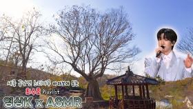 같이한 우리💕 #최수호 와 함께하는 세종특별자치시 금남면 영치리 느티나무 / KBS 대전 | KBS 방송