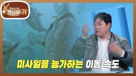 방신의 잠수 실력은? 물속에서 보면 훨씬 크고 빠른 방어들😲 | KBS 251207 방송