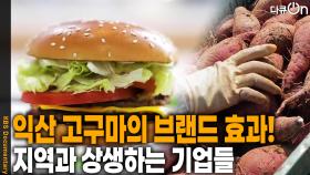 익산 고구마의 브랜드 효과, 지역과 상생하는 기업들 | KBS 251207 방송