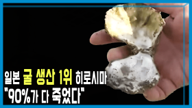 굴 집단 폐사, 충격에 빠진 일본 | KBS 251206 방송