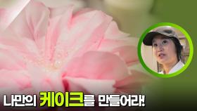 나만의 케이크를 만들어라! ＂진짜 꽃 아니에요?!＂ | KBS 251209 방송