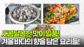 [미식 투어] 새콤달콤한 맛이 일품! 겨울 바다의 향을 담은 굴 요리들! | KBS 251210 방송
