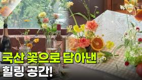 [알면 보물] 미각&시각&후각을 모두 깨워주는 힐링 공간 | KBS 251211 방송