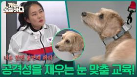 모찌의 공격성을 잠재울 눈 맞춤 교육! | KBS 251211 방송