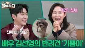 팔색조 배우 김선영의 천재 반려견 ‘기쁨이’ | KBS 251211 방송