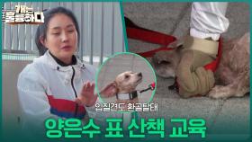 입질견도 환골탈태! 양은수 표 산책 교육 | KBS 251211 방송